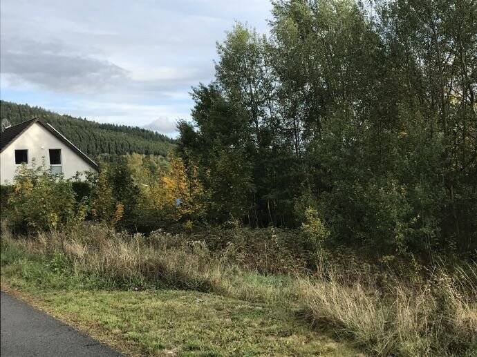 Grundstück Bad Berleburg Schwarzenau - 26.000&euro; | Angebot:25769991