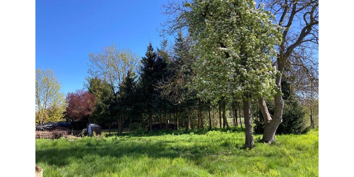 Einfamilienhaus Pritzwalk - 4 Zimmer, 122 m&sup2;, 239.000&euro; | Angebot:27086768