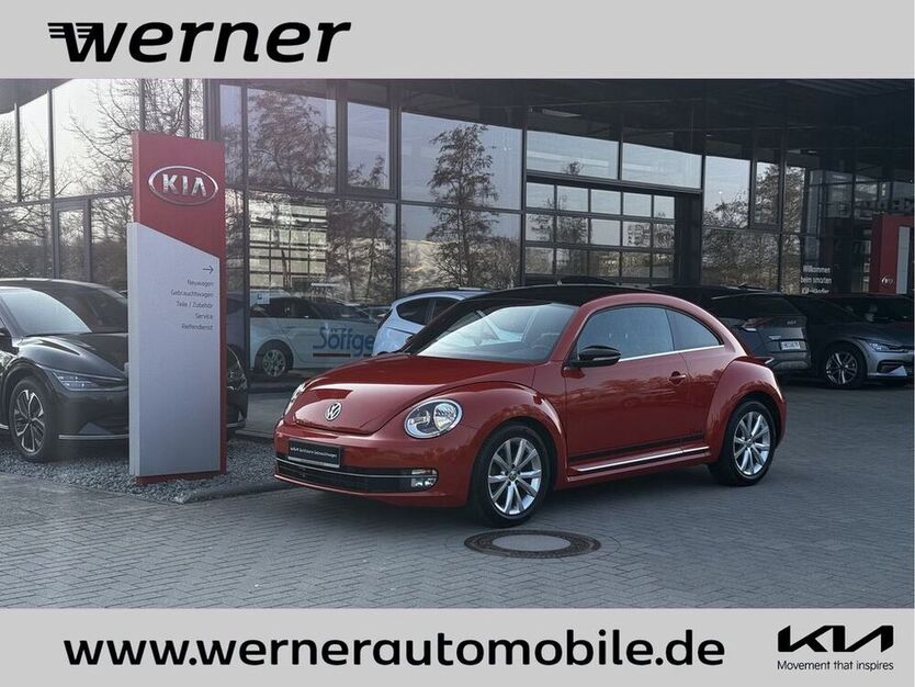 Beetle