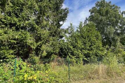 Grundstück Eutin - 250.000&euro; | Angebot:23030945