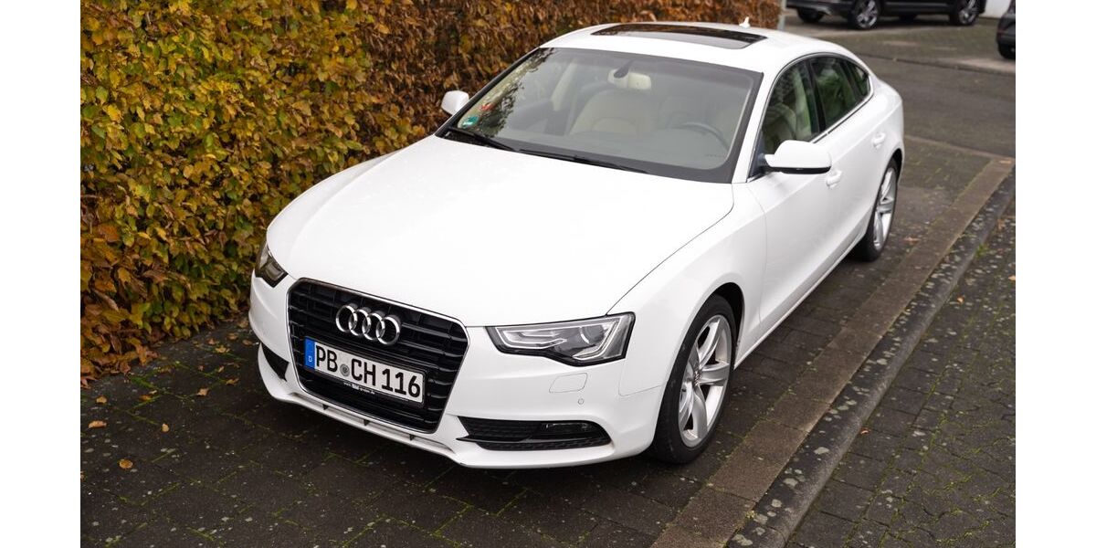 Audi A5 185.000 km 9.000 &euro; Bad Lippspringe 33175