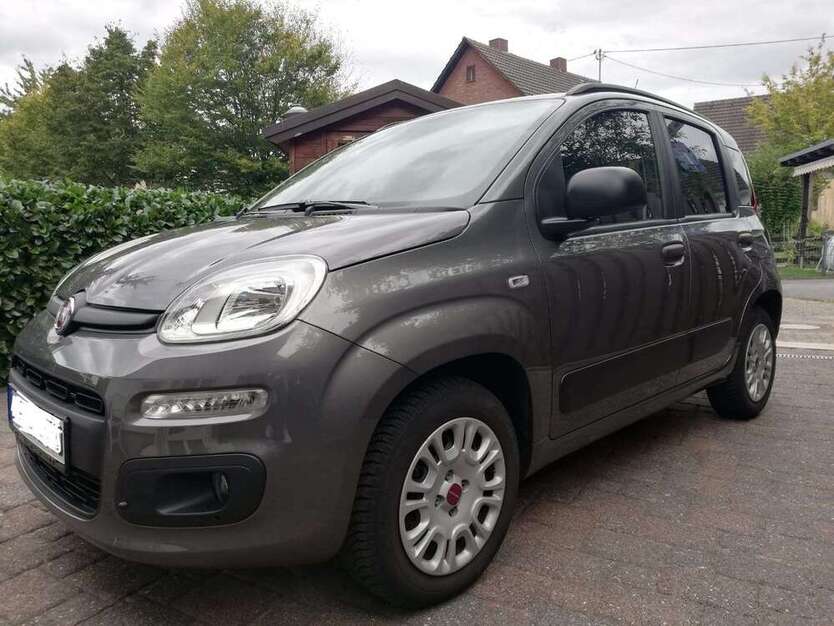 Panda