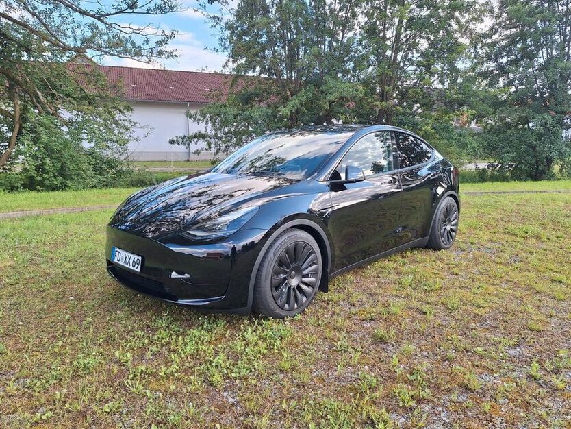 Model Y