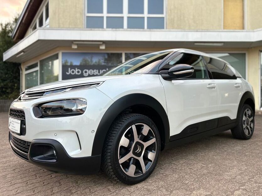 C4 Cactus