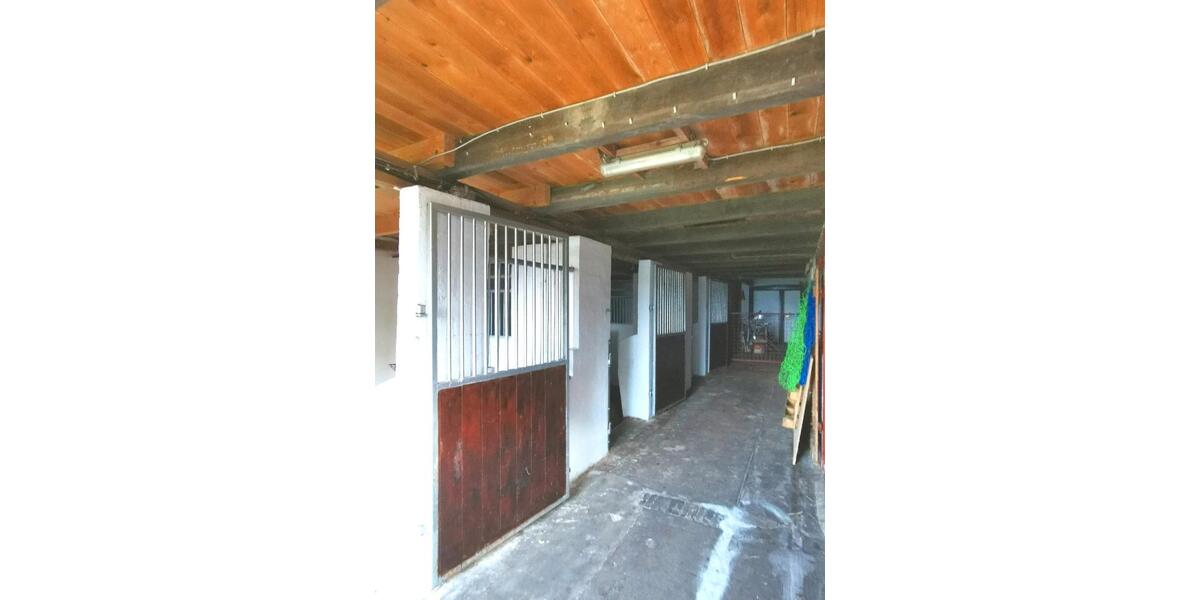 Bauernhaus, Landhaus Lunden - 10 Zimmer, 293 m&sup2;, 549.000&euro; | Angebot:23589132