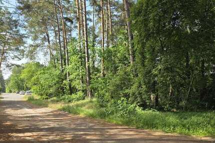 Grundstück Borkheide - 155.000&euro; | Angebot:26830745