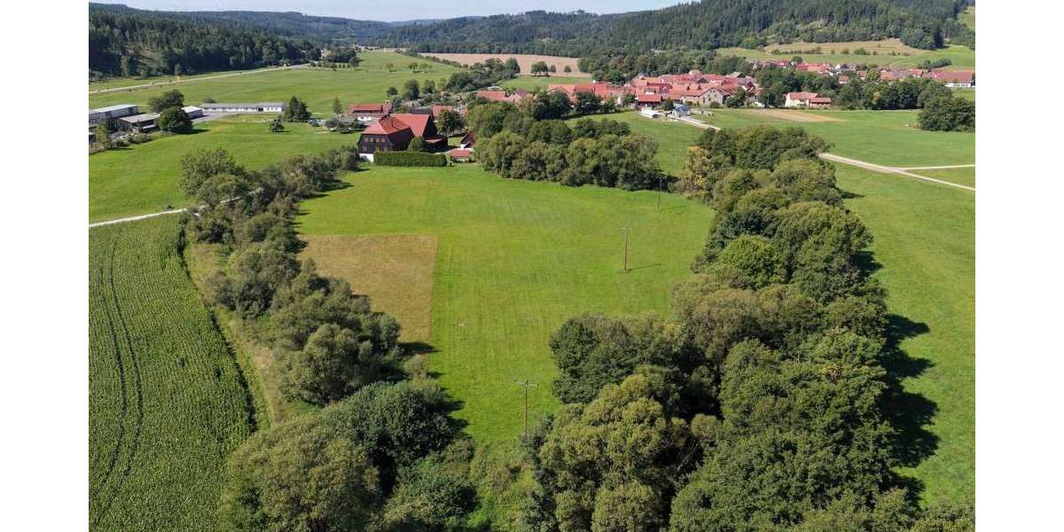 Haus zum Kaufen in Schleusingen Rappelsdorf 998.000 € 276 m² 7 zimmer