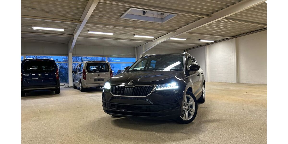 Skoda Karoq 72.251 km 19.780 &euro; Sassenburg / Neudorf- Pl 38524