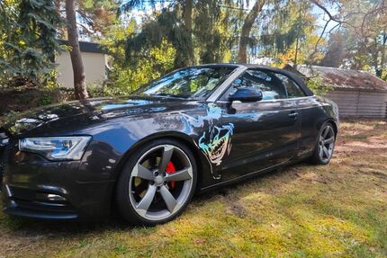 Audi A5 257.000 km 12.800 &euro; Zeuthen 15738