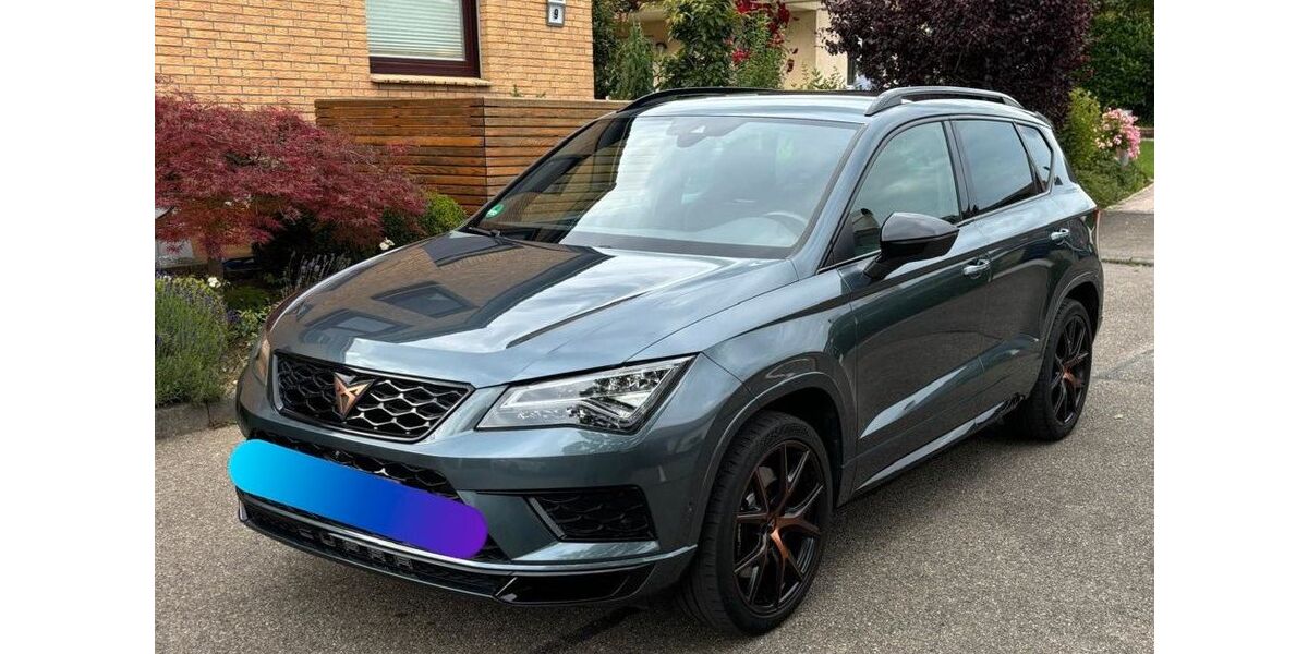 Cupra Ateca 113.036 km 22.399 &euro; Stockach 78333
