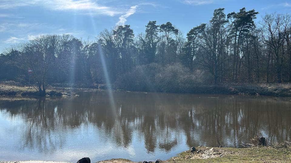 Einfamilienhaus Celle Altenhagen - 8 Zimmer, 190 m&sup2;, 1.590&euro; | Angebot:25384751