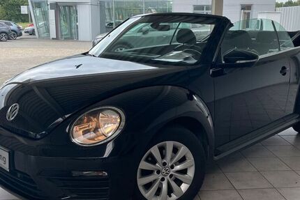 VW Beetle