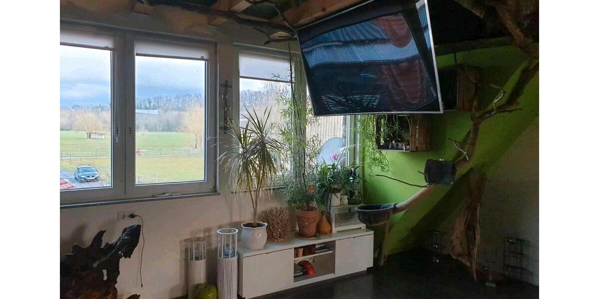 Einfamilienhaus Langenbrettach - 7 Zimmer, 250 m&sup2;, 320.000&euro; | Angebot:26448302