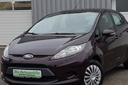 Ford Fiesta 95.000 km 4.390 &euro; Hildesheim 31137
