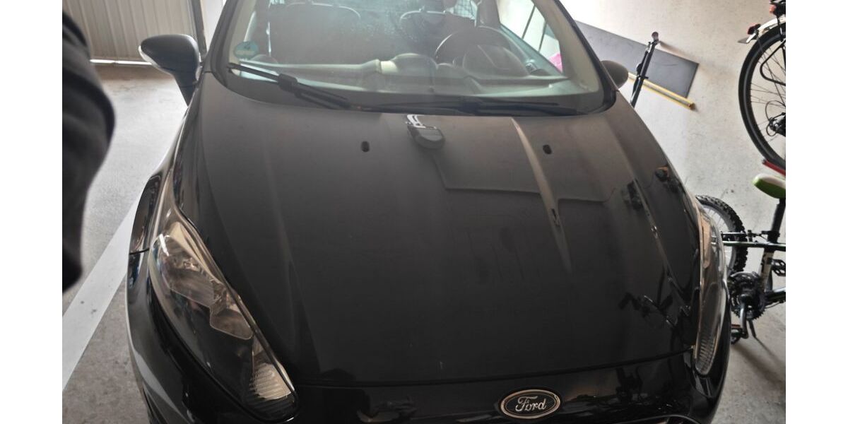 Ford Fiesta 295.000 km 2.899 € Schwarzenbruck 90592