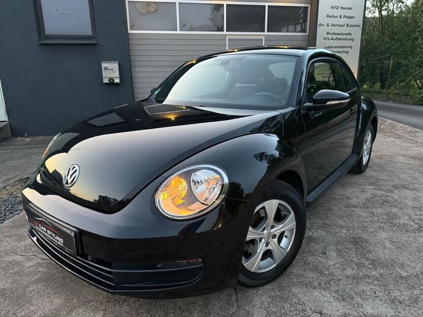 Beetle