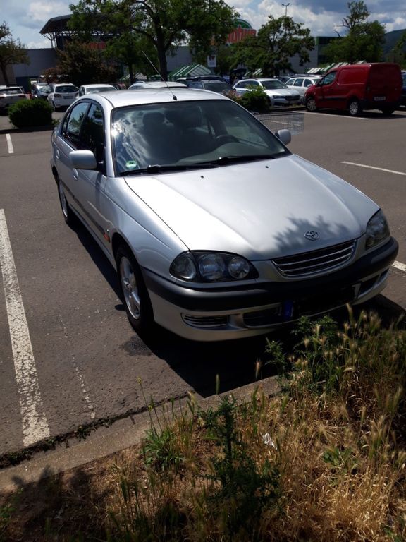 Avensis