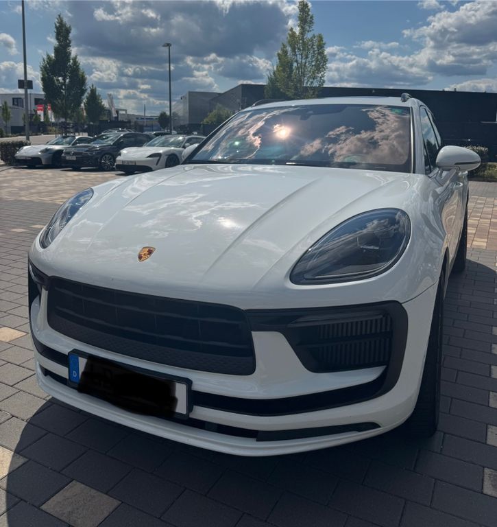 Macan