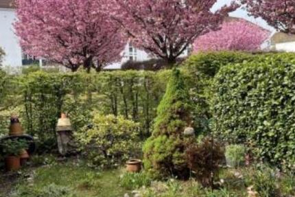 2-Zimmer Wohnung mit Privatgarten und Hobbykeller 2 zimmer