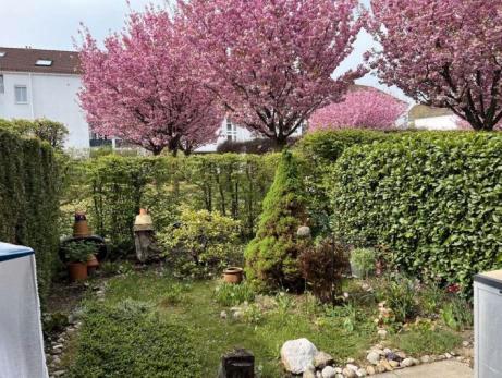 2-Zimmer Wohnung mit Privatgarten und Hobbykeller 2 zimmer