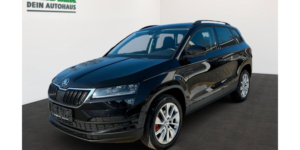 Skoda Karoq 130.192 km 17.950 &euro; Mylau 08499