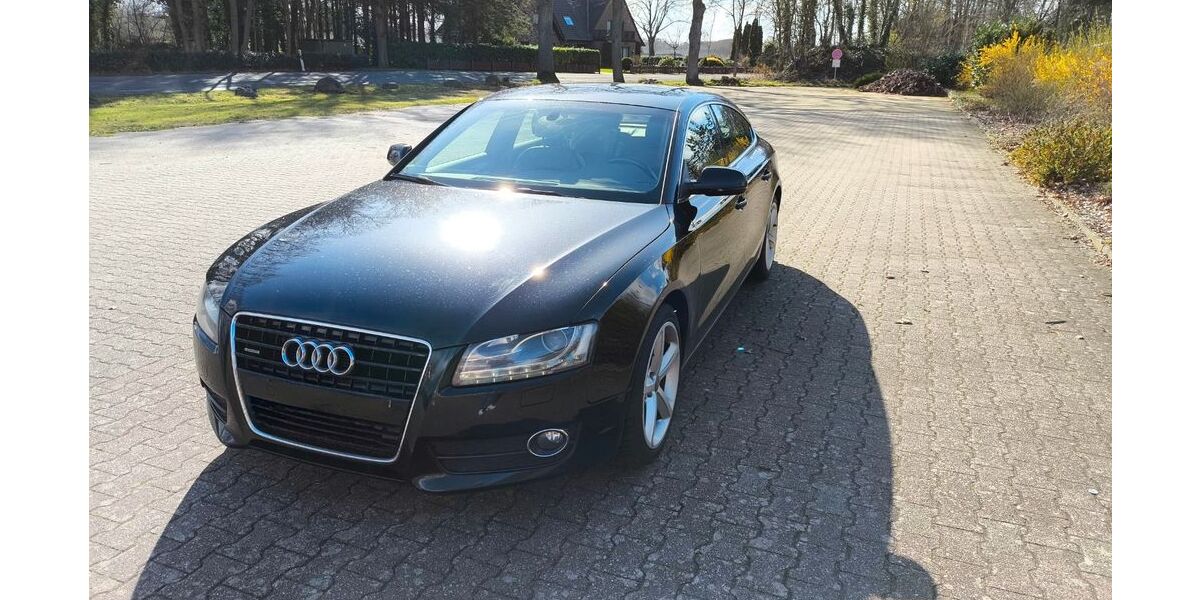 Audi A5 265.000 km 5.900 &euro; Haselünne 49740
