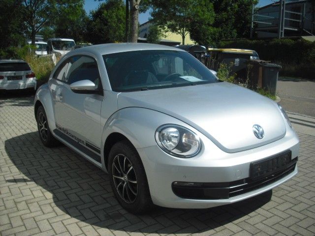 Beetle