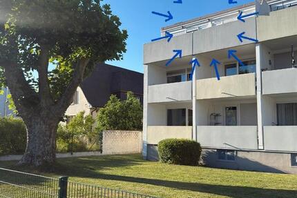 Wohnung Freiburg im Breisgau Haslach - 4 Zimmer, 81 m&sup2;, 350.000&euro; | Angebot:27093931
