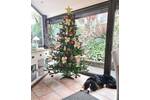 Einfamilienhaus Mandern - 1 Zimmer, 246 m&sup2;, 385.000&euro; | Angebot:25690730