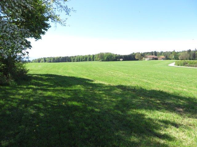 Bauernhaus, Landhaus Rott am Inn - 5 Zimmer, 170 m&sup2;, 1.300.000&euro; | Angebot:26407406