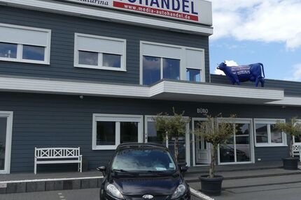Ford Fiesta 139.000 km 4.500 &euro; Magdeburg 39108