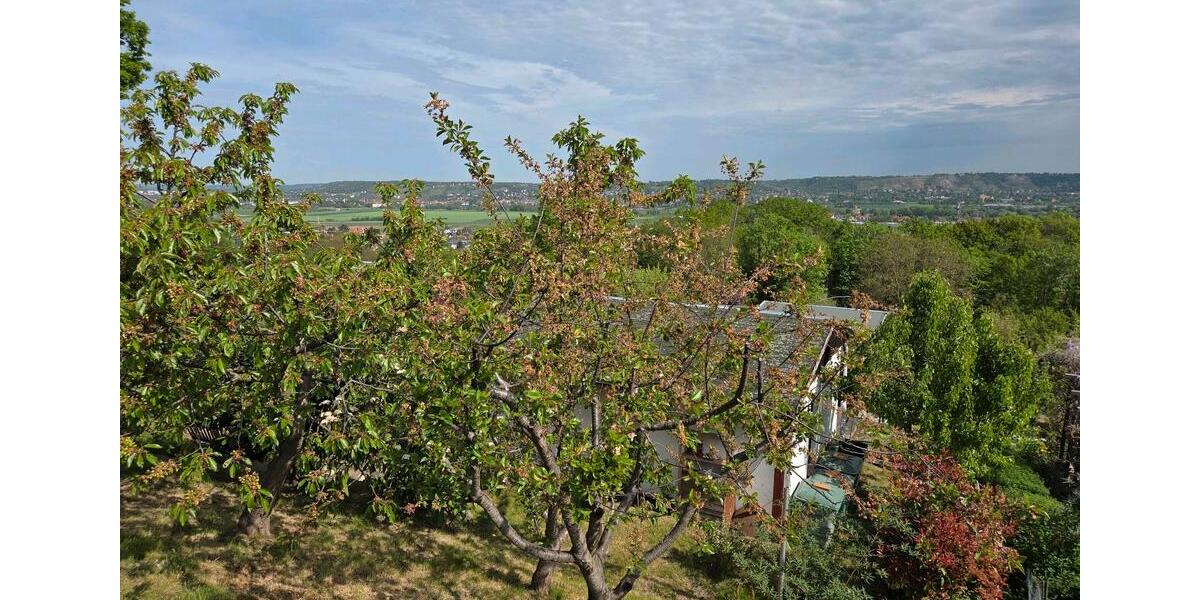 Grundstück Dresden Cotta - 4.300&euro; | Angebot:26505840