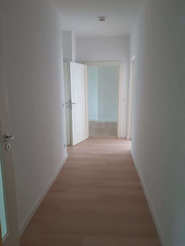 Wohnung zum Mieten in Chemnitz 295 € 51.2 m²