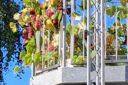 ruhige, schöne Süd-Wohnung,74qm, Balkonterr., 2 zimmer