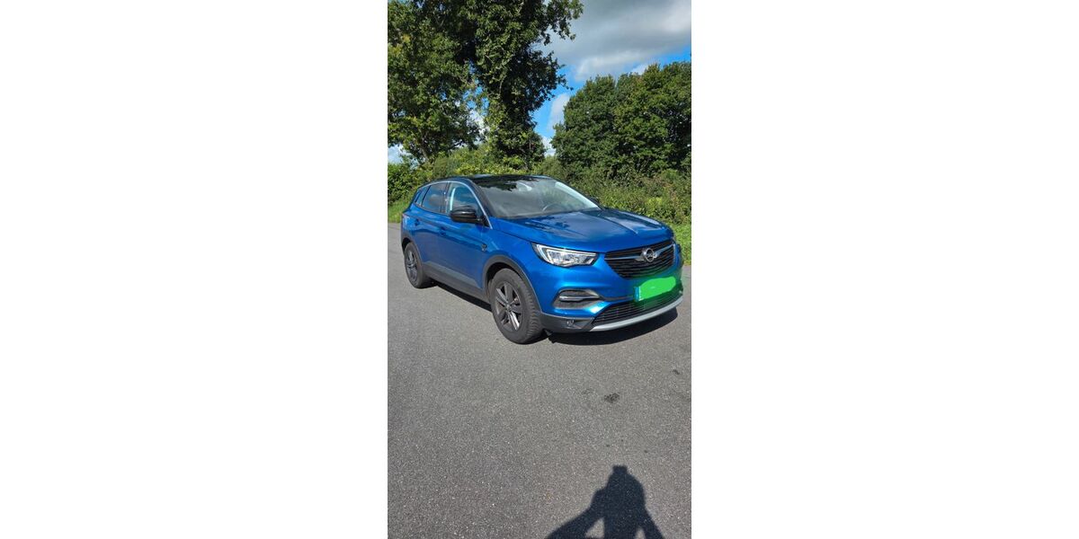 Opel Grandland (X) 108.480 km 10.950 &euro; Meggerdorf 24799
