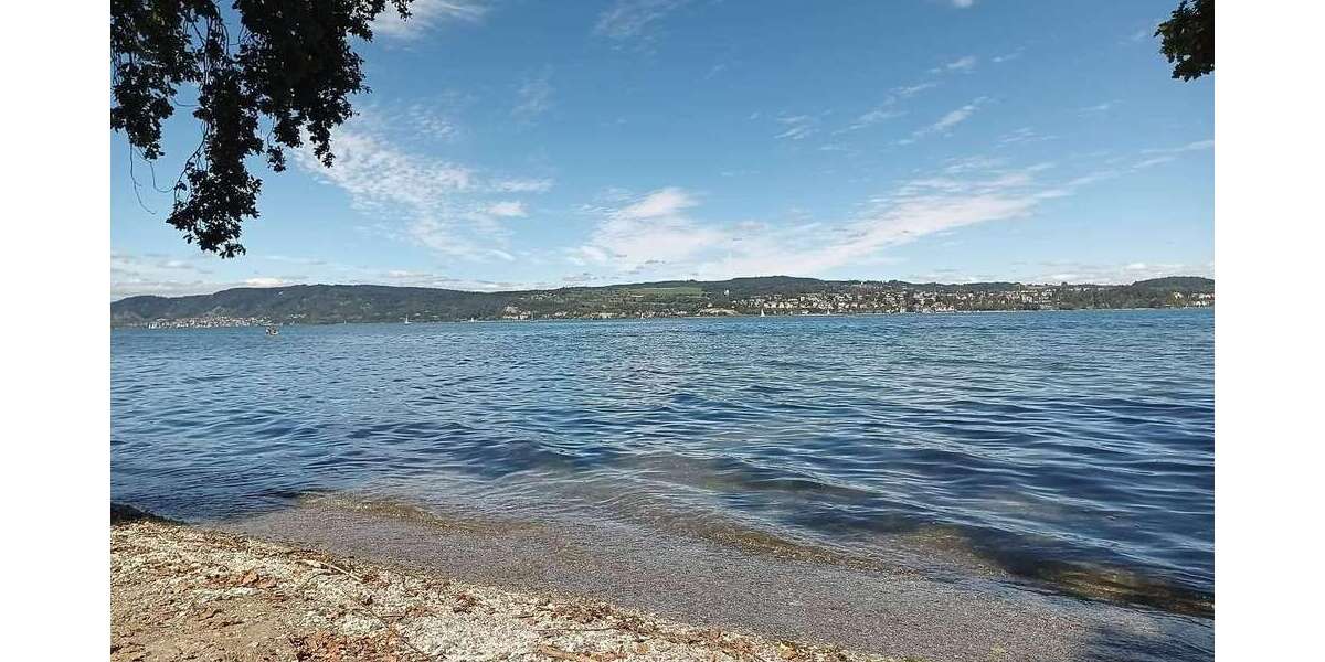 Etagenwohnung Konstanz Wallhausen - 1.5 Zimmer, 40 m&sup2;, 1.290&euro; | Angebot:27100939