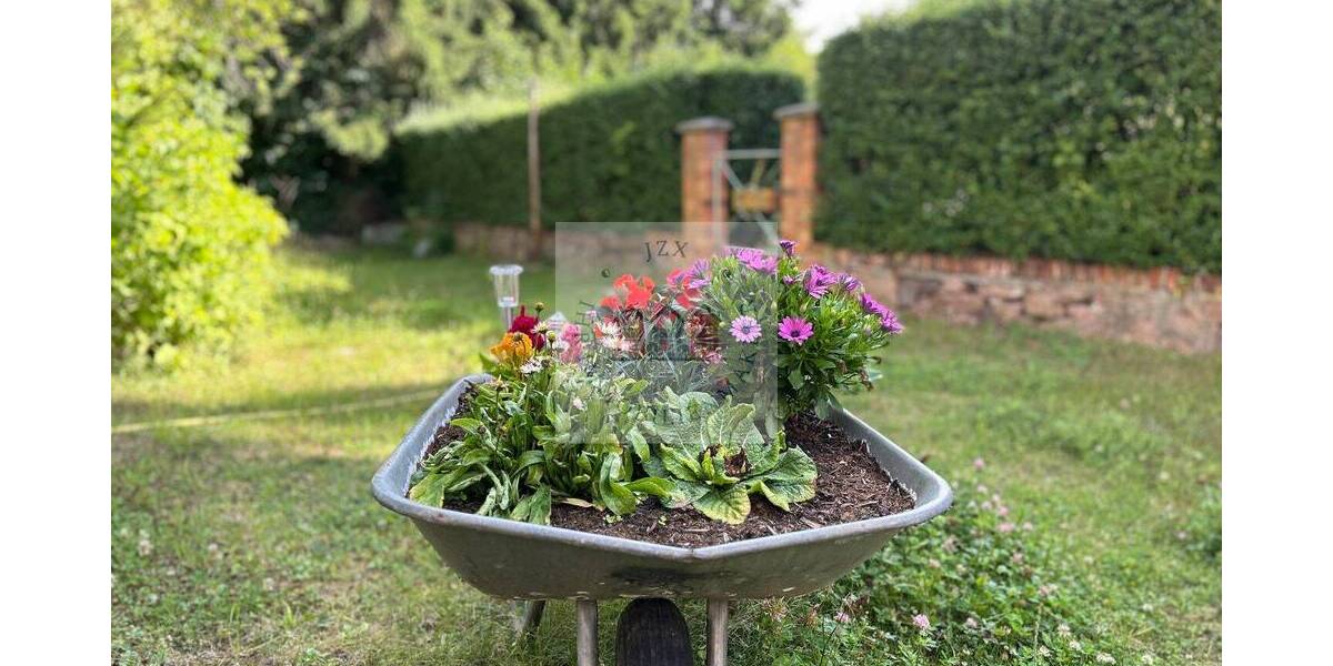 Geschichte bewahren - Steuern sparen. 1 zimmer