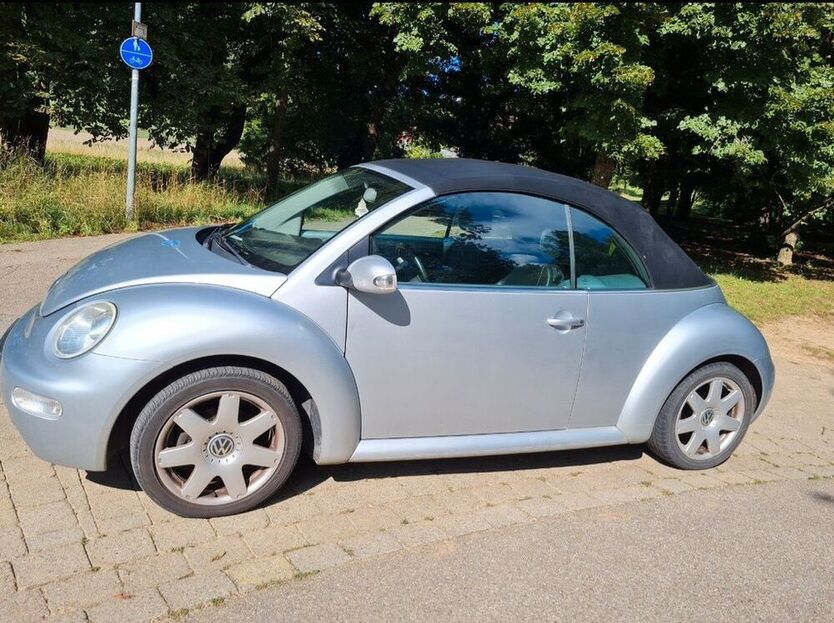Beetle
