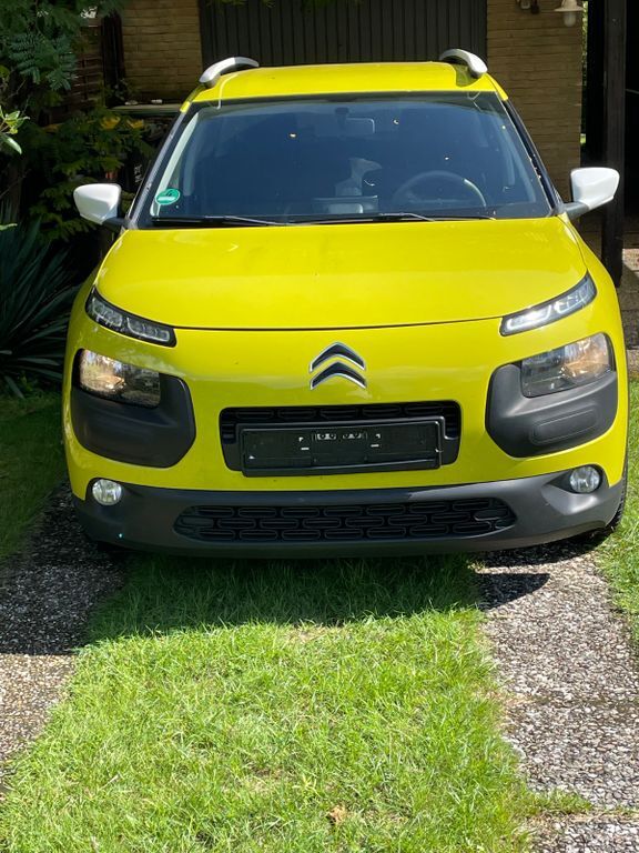 C4 Cactus