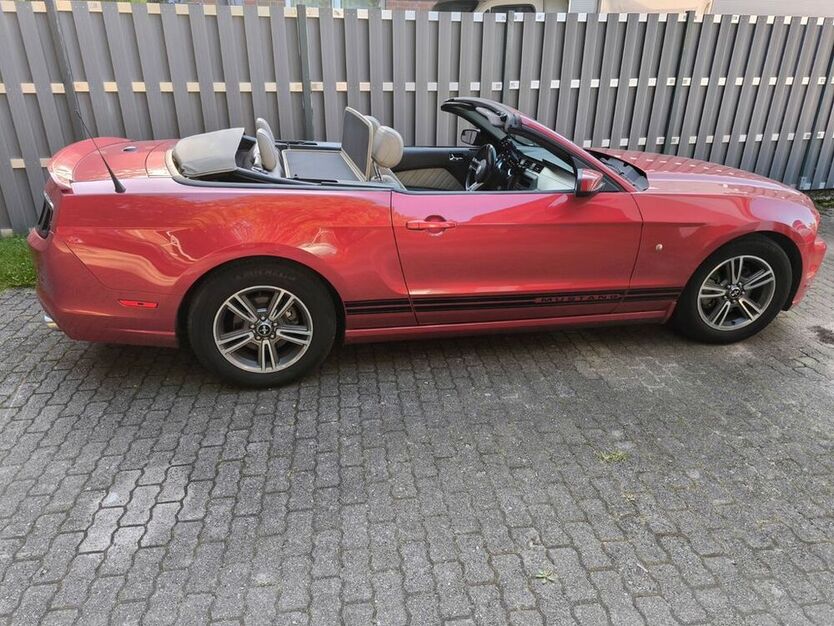 Mustang