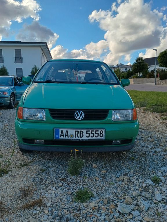 Polo