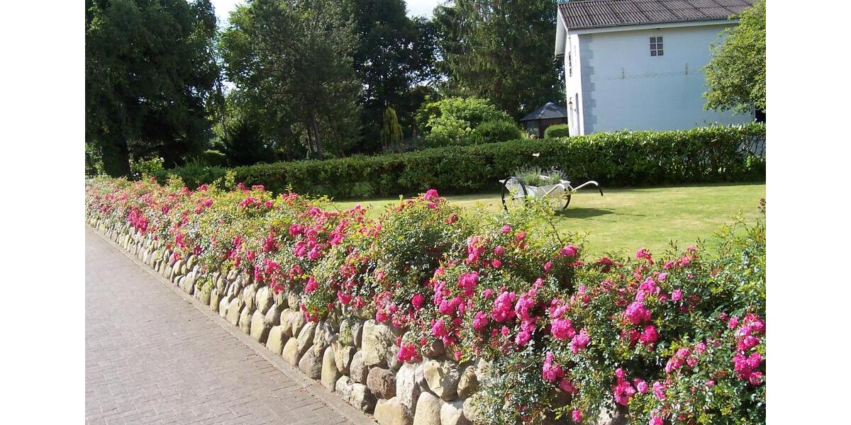 Ferienimmobilie Neuenkirchen - 70&euro; | Angebot:26705290