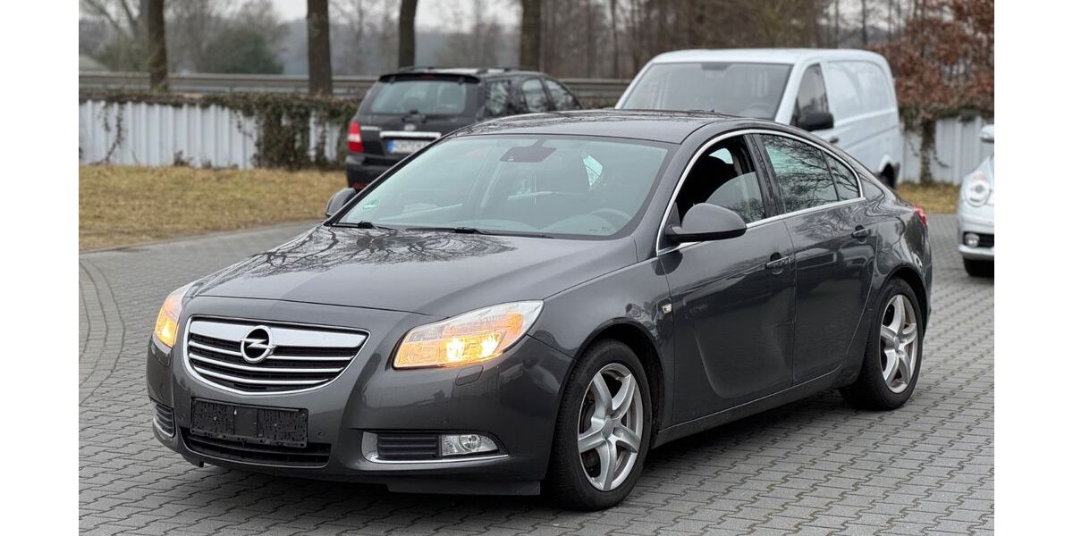 Opel Insignia 277.000 km 1.990 &euro; Neuenhaus 49828