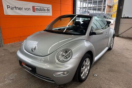 VW Beetle