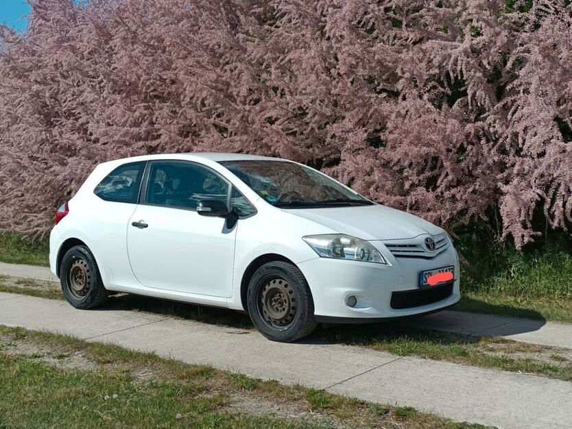 Auris
