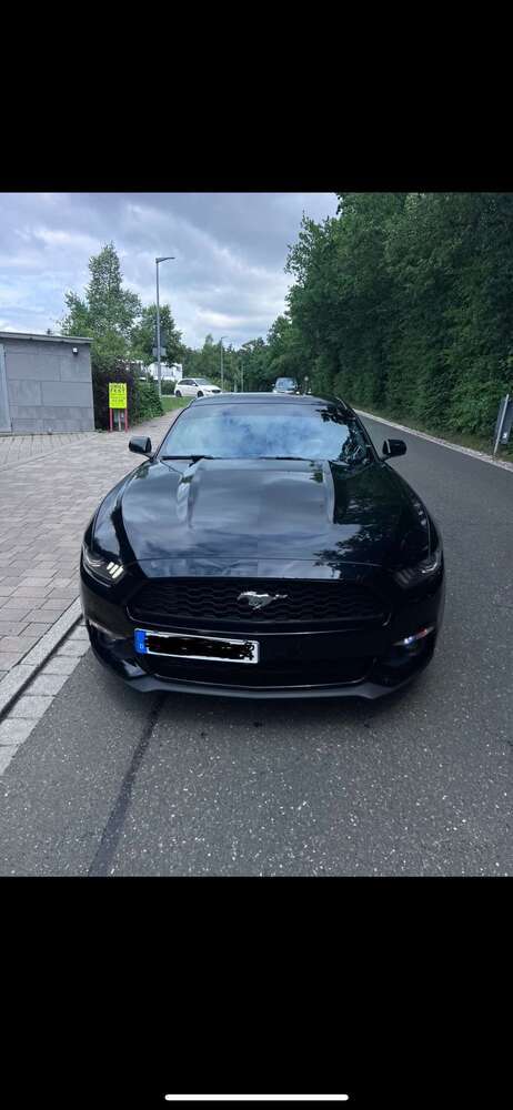 Mustang