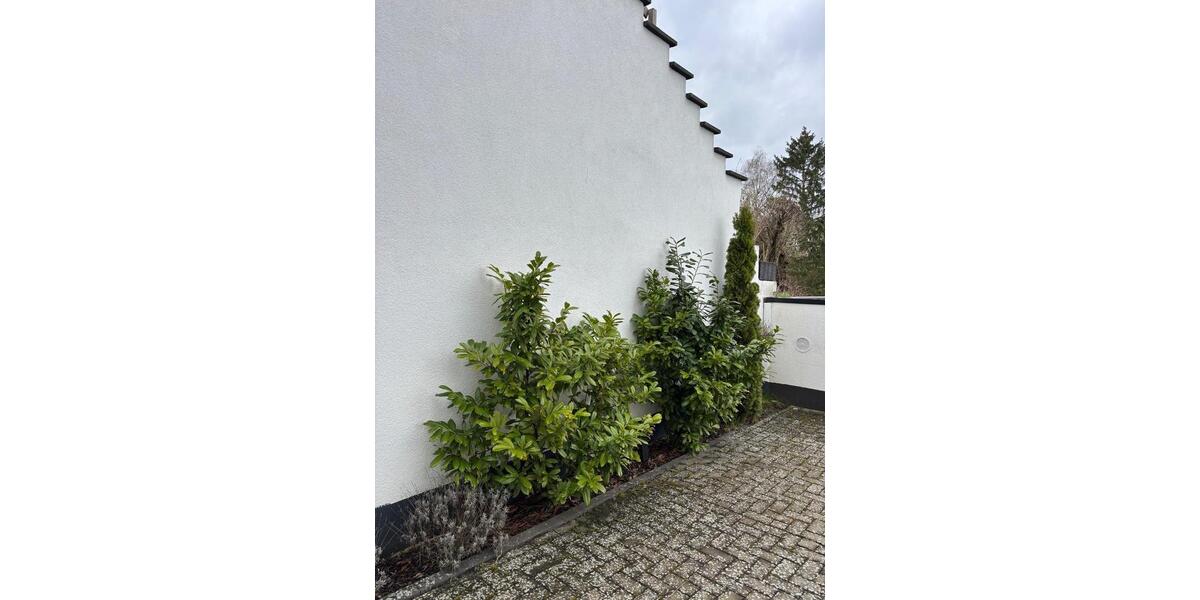 Erdgeschoßwohnung Staufenberg - 3.5 Zimmer, 80 m&sup2;, 269.000&euro; | Angebot:25973414