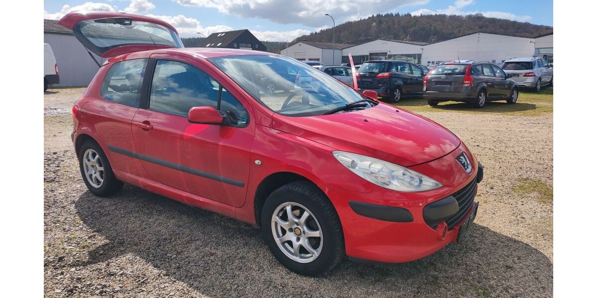 Peugeot 307 138.500 km 590 &euro; WITTLICH 54516