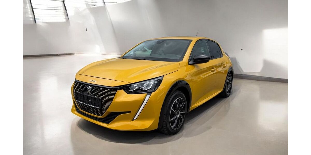 Peugeot 208 40.300 km 16.499 &euro; Speyer 67346