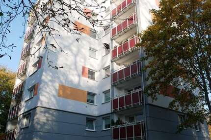 Wohnung zum Mieten in Eckernförde 702,39 € 58.29 m² 2 zimmer